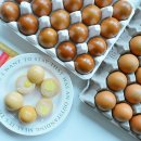 아라솔 | 아침식사대용 아라솔 구운계란 훈제계란 칼로리 구운계란 유통기한 보관법 간식추천 공구!