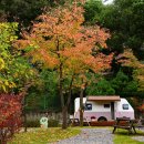 수원-1967 이미지