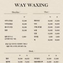 웨이왁싱&속눈썹펌