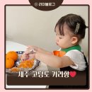 순이농장 | 제주카라향 아빠는농부다 승환이네 농장 카라향 선물세트 후기
