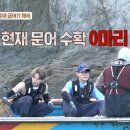 머구리