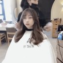 에이브릿 네이버블로그