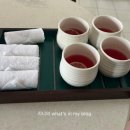 (주)웰리스온 | 다낭 4박 6일 여행일기 - 4일차 (참섬 스노쿨링, 알마니티호이안, 올드타운, 소원배, 윤식당)
