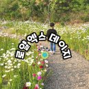 경기도 화성 데이지 명소 로얄엑스클럽/에이씨티 그라운드 ICT 생활 문화센터 프로그램 후기/2022 화성...