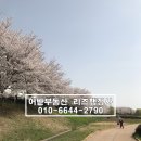 동천목욕탕 이미지