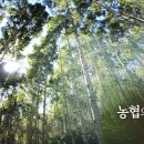 기린원당농협두부조합공동사업법인