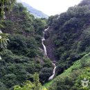 비채야영장 이미지