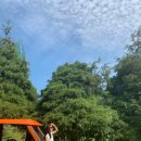 (주)씨드코퍼레이션 이미지