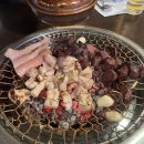 [교대] 곱창 맛집 &#39;송가옥&#39; + 콜키지 프리