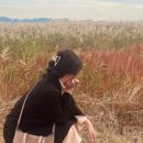 STAY 대부 이미지