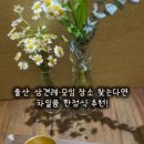 삼산로 352번길 네이버블로그