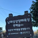 열린목장 | 남해 가볼만한곳 아이와 가기 좋은곳 겨울 여행 ‘남해상상양떼목장 편백숲’