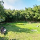 서재필박사 본가지 이미지