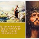 찬송가 / 564장 예수께서 오실 때에 이미지