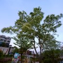 성북우정의공원 네이버블로그