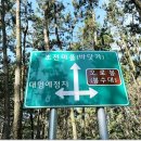 원산도·삽시도 Daum카페
