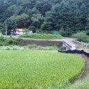 김택준 행정사사무소 이미지