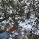 [경남 하동 1박2일]- 짚와이어,금양가든,송림공원, 쌍계사,여명가든,더로드101,화개장터,매암제다원...