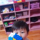 딸기어린이집 이미지