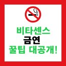 식품의약품안전청 | 비타센스 후기, 효과, 부작용, 약국 가격, 맛별 추천까지 실전 가이드