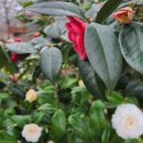 일구농장3 이미지