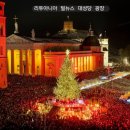 트리마켓