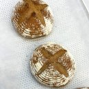 홍대제빵학원에서 유기농통밀빵 만들기 체험 후기