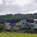 황소마트