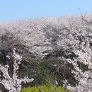 호시절