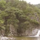 동유중기 이미지