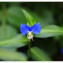 술 도둑놈 이미지