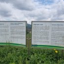 이한영농장 이미지