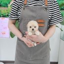 동두천-045 이미지