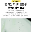 니즈더펫 이미지