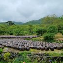 통도사 서운암과 장경각에 다녀오다