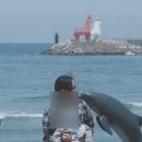 제주살이 2일차 기록:: 8개월 아기랑(이호테우, 무지개해안도로, 마미포유, 명랑스낵, 보롬사진관)