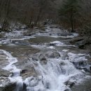 구천동1로 이미지