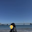 컴온피씨방 | 말랑콩떡이