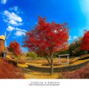 자연수변공원 이미지