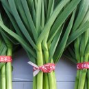 은희농장 이미지