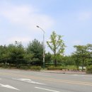 오가면010 이미지