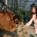 준우농장 이미지