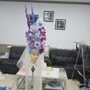 화영언니샵 이미지