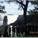 서귀포여자고등학교 이미지