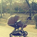 헤라시스