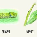 은빛유치원 이미지