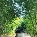 야은로-21 이미지