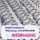 으뜸플러스안경 원주무실점 이미지