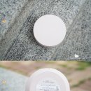 하이리틀아티스트