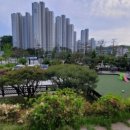 신지정로 이미지